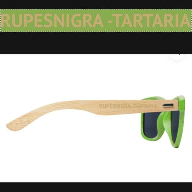 Lunettes de soleil Vert Rupes Nigra - Tartaria